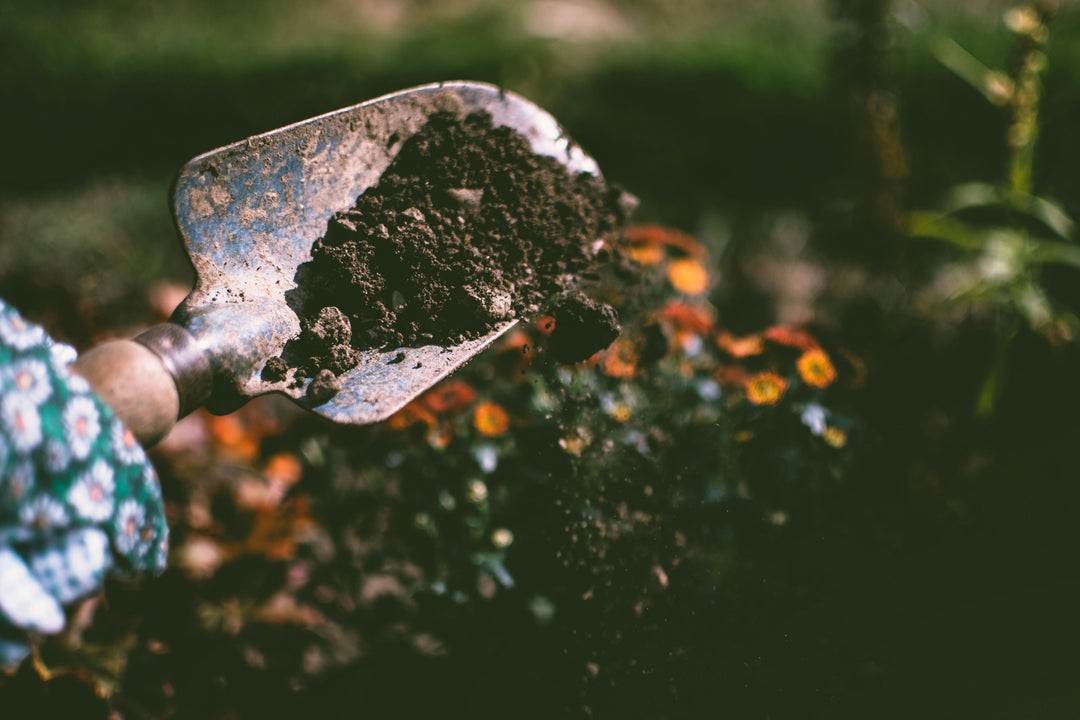 Dig and Recover: Gardeners Benefit From Topical Magnesium for Aches and Pains